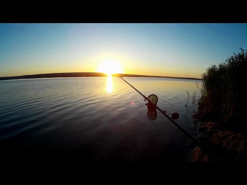 Видео: Рыбалка на макуху на Александровском водохранилище. Ловля на макушатник летом.