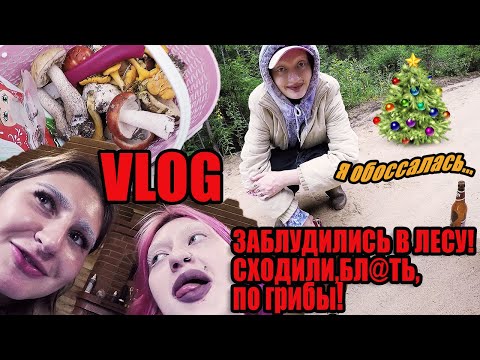 Видео: ВЛОГ: Едем за грибами на дачу! Я села на бутылку, а подруга на ....