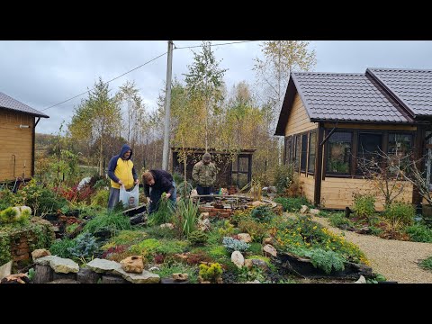 Видео: Поникшие цветы, похищенный овёс и милая парочка
