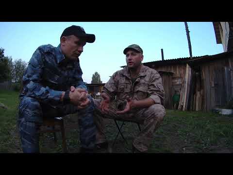 Видео: Как выбрать щенка ЗСЛ для начиющих охотников от Майшева Ивана часть 2