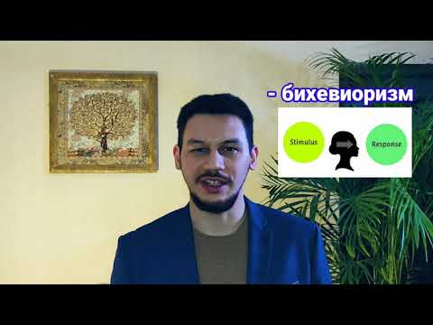 Видео: Основы менеджмента. Л.6. Научные подходы к управлению