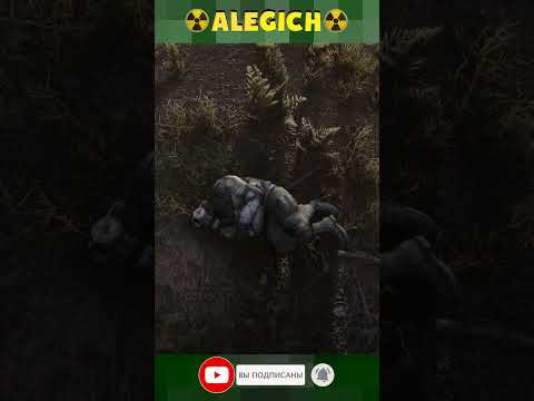 Видео: Суровый монолит. Прохождение STALKER ANOMALY 1.5.3 GAMMA 0.9.4