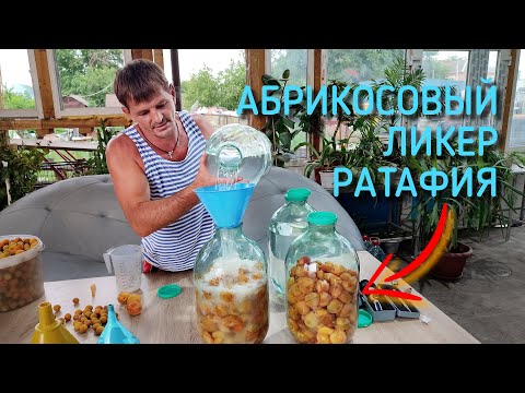 Видео: Абрикосовый ликер - ратафия, настойка  на яблочном дистилляте.