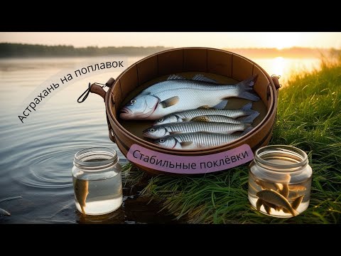 Видео: Только приехали на рыбалку — сразу клюёт! 🎣 Лещ, окунь и даже черепаха 🐢 | Рыбалка 2025