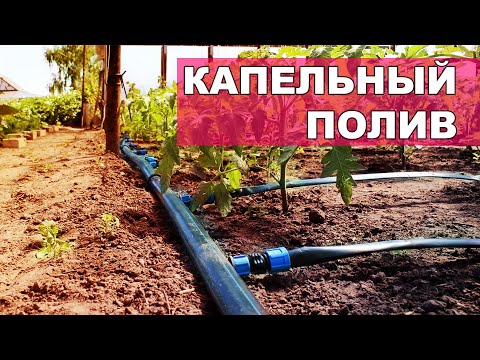Видео: КАК СОБРАТЬ КАПЕЛЬНЫЙ ПОЛИВ НА ЛЮБОМ УЧАСТКЕ ? Подбор фитингов и шлангов, подключение,частые вопросы