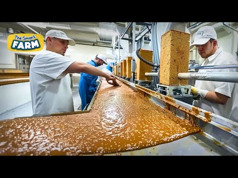 Видео: ПОТРЯСАЮЩАЯ фабрика протеиновых батончиков! Вот как производятся ваши протеиновые батончики!