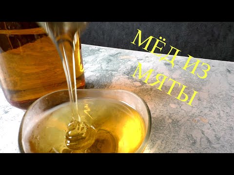 Видео: МЁД ИЗ МЯТЫ! Вот что выросло на нашем огороде! ОГОРОДНЫЕ ДЕЛА!