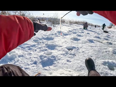 Видео: ТОЛЬКО СЕЛ на ЛУНКУ как КИВОК ЗАГНУЛО. Рыбалка на плотву, на реке зимой в 2024