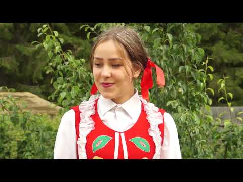 Видео: Видеодорожка. Дубль 12.