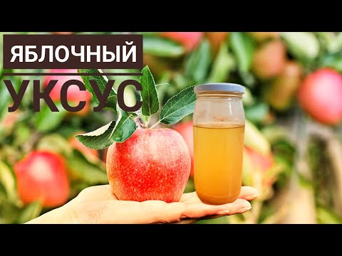 Видео: АЛМА сірке суын өзім жасаймын,  100% табиғи қышқыл. ЯБЛОЧНЫЙ УКСУС пайдасы.