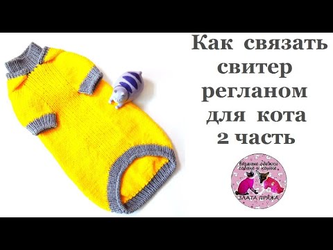 Видео: Как связать свитер регланом для кота  2часть