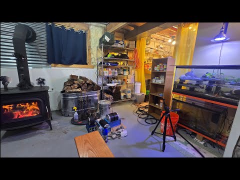 Видео: Влияет ли моя дровяная печь на рыбу? Все спрашивают.