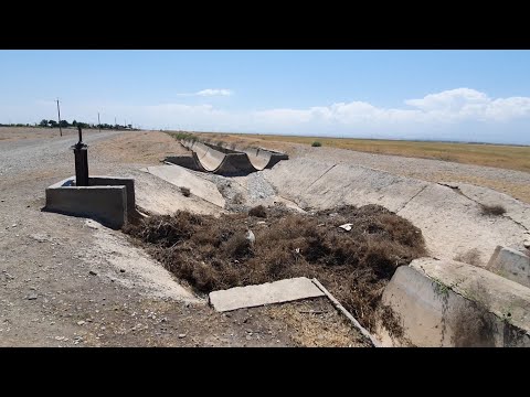 Видео: Нигаронӣ аз киштзорҳои сӯхтаву ташналаби Зафаробод