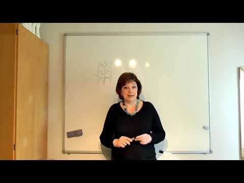 Видео: Введение. Теория