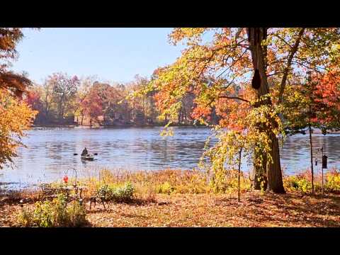 Видео: 2014 "Грезы" Юрий Шатунов ~ США USA