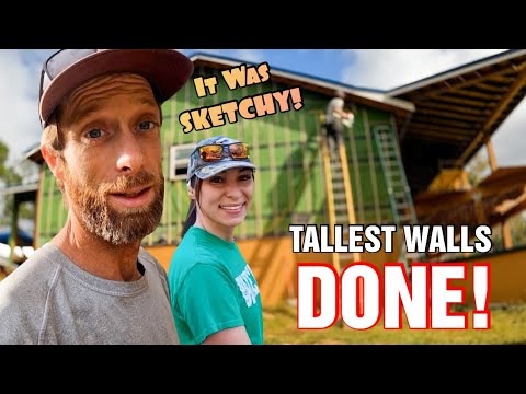 Видео: Это было наброском! ЗАВЕРШАЕМ САМЫЕ ВЫСОКИЕ СТЕНЫ. ПОДГОТОВКА К ОБШИВКЕ ДЛЯ ПОСТРОЙКИ НАШЕГО ДОМИКА.