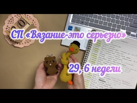 Видео: 29 неделя в СП "Вязание-это серьезно". Игрушки за 29 и 6 недели 🦫🪿#вязаниеэтосерьезно