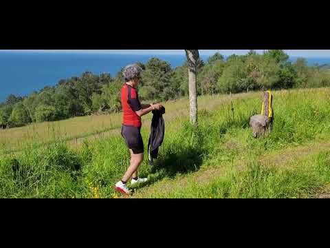 Видео: #2.#Мөрний дасгал.#Үe мөч.