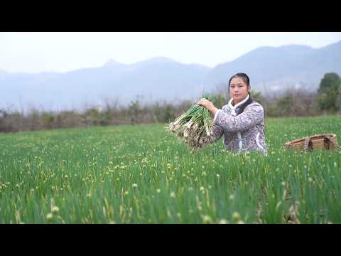 Видео: Дикая луковица против Обычного лука: Открываем правду о вкусе!