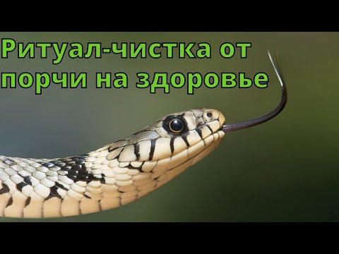 Видео: 🆘РИТУАЛ-ЧИСТКА ОТ ПОРЧИ НА ЗДОРОВЬЕ С ОБРАТКОЙ🙌🏻✨⚕