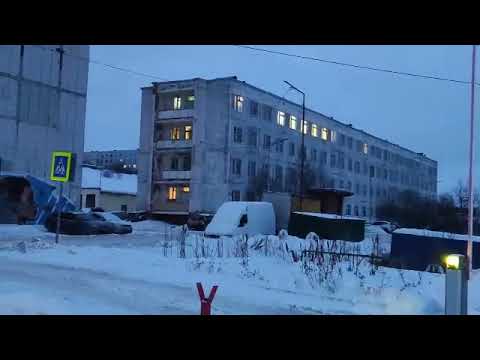 Видео: Полярный/Шашлык на углях/ Новый год 2022/ От Светланы Пикулевой-Лисовской.