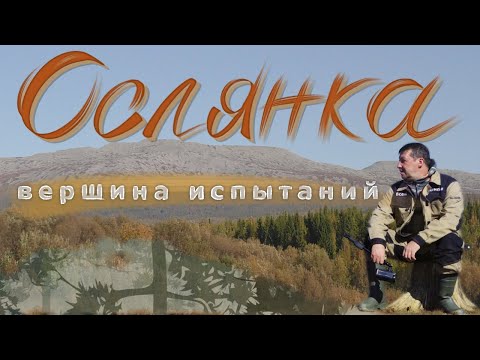 Видео: ОСЛЯНКА. Вершина испытаний.