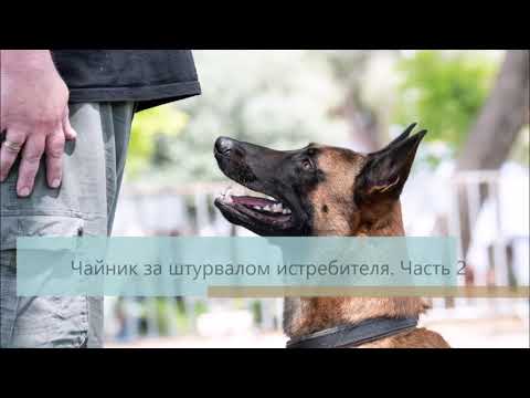 Видео: Чайник за штурвалом истребителя. Часть 2