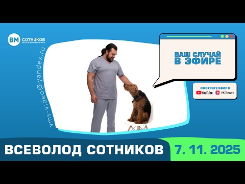 Видео: Ваш случай в эфире. Выпуск от 7.11.2025