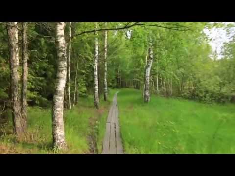 Видео: Легендарный СветлоЯР. Фильм 1