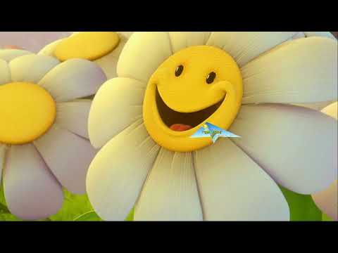 Видео: Солнышко_2022 (выпуск 4)