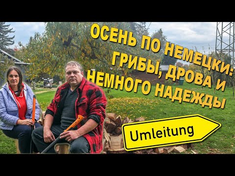 Видео: Дров много не бывает. Инжир с личинками. Борщ без мяса.