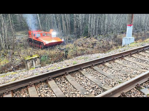 Видео: Легендарный Желток ожил спустя пол года стоянки