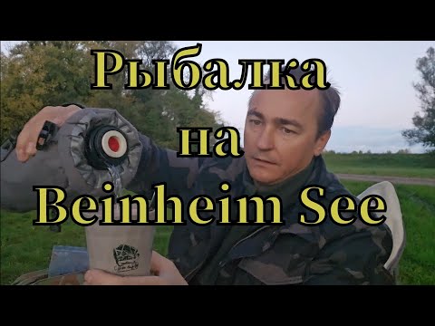 Видео: Активная рыбалка 🎣 на Bahnheim See клюнул ОКУНЬ ПОДЛЕЩИК И ПЛОТВА #РЫБАЛКА #angeln #fishing #pêche 