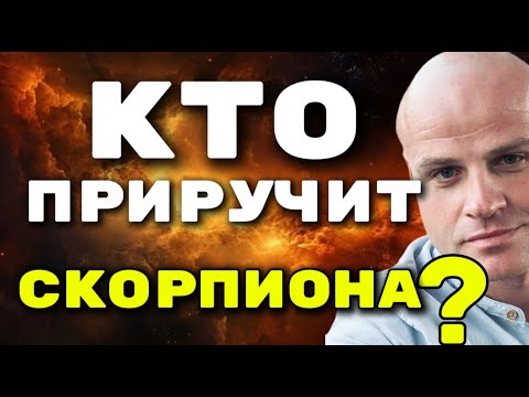 Видео: КТО ПРИРУЧИТ СКОРПИОНА?