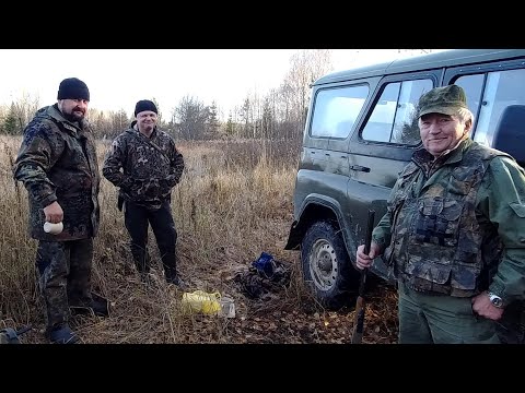 Видео: Где искать хариуса осенью? Ходовая Рыбалка на Лесной речке.