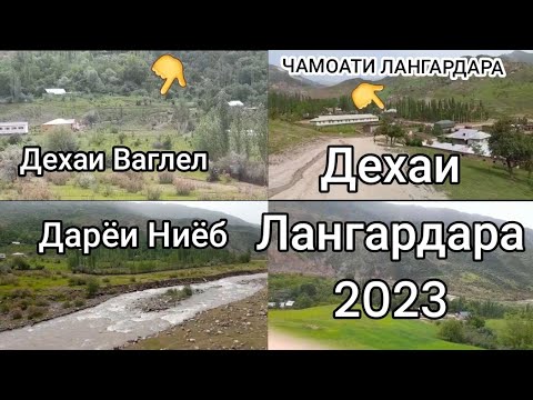 Видео: ТОП ЧАМОАТИ ЛАНГАРДАРА.ДАРАХОИ ДАШТИЧУМ 2023@prirodaidasticum