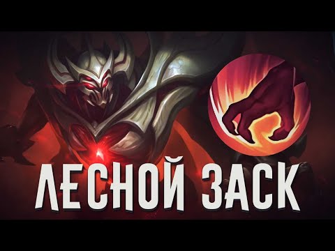 Видео: СКРЫТАЯ ИМБА ДЛЯ ПОДНЯТИЯ РАНГА ИЛИ КАК ТАРАБАНИТЬ НА ЛЕСНОМ ЗАСКЕ В MOBILE LEGENDS BANG BANG?!