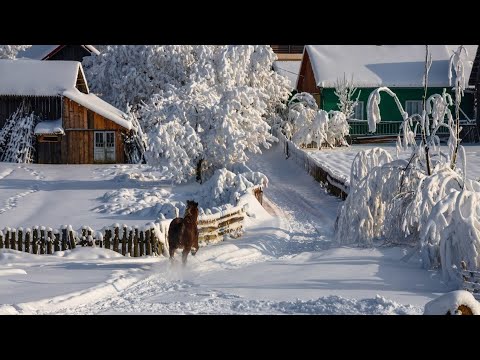 Видео: Сельские будни вязальщицы