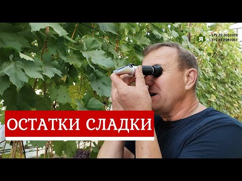 Видео: Кишмиши Арарат, Шарлотта и Щелкунчик.