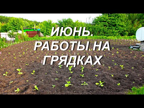 Видео: ИЮНЬ. РАБОТЫ НА ГРЯДКАХ.