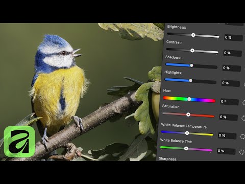 Видео: Использование панели быстрых настроек в Affinity