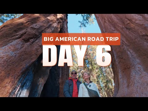 Видео: Большое дорожное путешествие по США. День 6. Секвойя парк