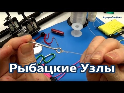 Видео: Популярные Узлы Для рыбалки | Рыболовные или Рыбацкие Узлы Fishing@Popular_Knots