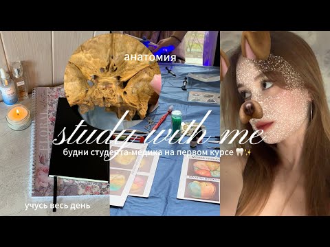 Видео: выживаю в медицинском на первом курсе | учусь весь день | будни студента медика