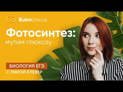 Видео: Фотосинтез | БИОЛОГИЯ ЕГЭ | Лина Клевер
