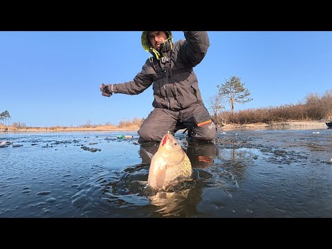 Видео: ОТО РОЗДАЧА Кабани клюють один за одним / Рибалка ТОП