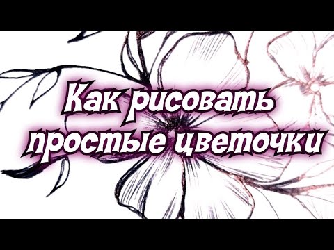Видео: Скетч цветы, заполняю скетчбук /графика цветы/как рисовать цветочки/артблог/легкийрисунок