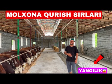 Видео: MOLXONA QUTISH SIRLARI JUDAXAM SIFATLI EKAN A😃😃😃🥇11 мая 2025 г.