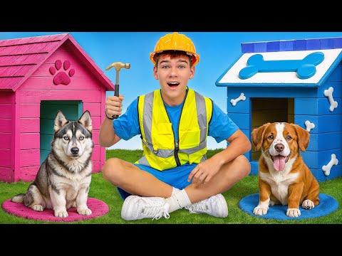 Видео: Мы построили потрясающие собачьи будки — и пусть собака выберет победителя!