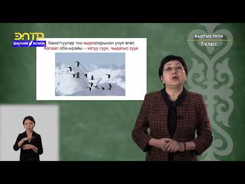 Видео: 7-класс | Кыргызский язык | Куштар жөнүндө эмне билесиңер?